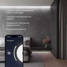 Контроллер для светодиодных лент dimming Elektrostandard (Умный дом) 95004/00 a055256 2