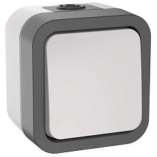 TORS Переключатель одноклавишный 10А IP55 TS201 серо-белый IEK TS-V10-0-10-55-K41