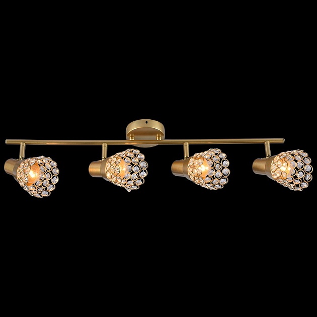 Спот Reluce 05954-0.8-04 GD Фото № 1