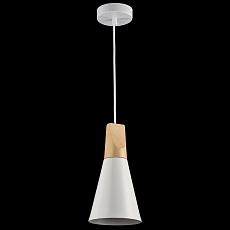 Подвесной светильник Maytoni Bicones P359-PL-140-W 5