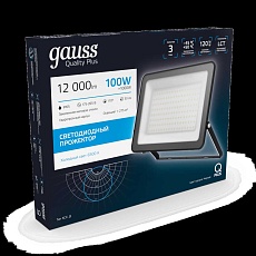 Прожектор светодиодный Gauss Qplus 100W 6500К 613511100 4