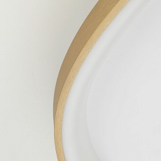 Потолочный светодиодный светильник Citilux Genka Smart CL756A162 2