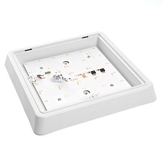 Настенно-потолочный светодиодный светильник Feron AL3021 41780 1