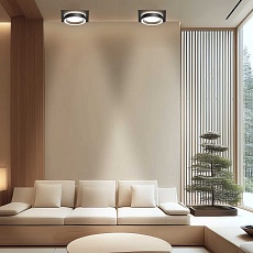 Точечный светильник Apeyron Ray 16-103 2