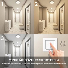 Потолочный светодиодный светильник Denkirs DK6515-WH/1 3