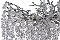 Подвесная люстра Dio DArte Elite Tavenna H 1.3.76.102 N 1