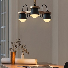 Потолочная люстра Imperium Loft Natura 178085-26 1