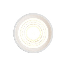 Светодиодный модуль Denkirs Slim LED DK3000-8W dim 1