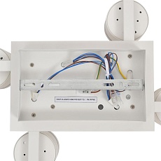 Светильник потолочный Lumion AGNIA 8303/10C 3