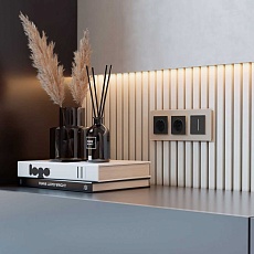 Сенсорный диммер Werkel (Умный дом) с подсветкой черный W3443111 a063594 3