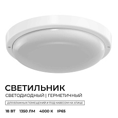 Светильник светодиодный герметичный OGM О28-09 5