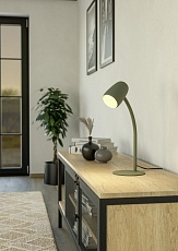 Настольная лампа Eglo Carlo 901831 1