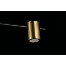 Потолочная люстра Aployt Elwisia APL.633.07.08 4