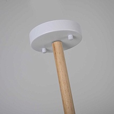 Подвесная люстра Imperium Loft Finch 140682-26 5