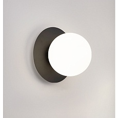 Настенно-потолочный светильник TopDecor Ringo A1 12