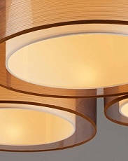 Потолочная люстра Moderli Room V10624-5C 4