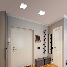 Потолочный светодиодный светильник Elektrostandard DLS034 18W 4200K a043017 1