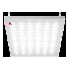 Потолочный светильник WOLTA STD ДВО12-54-042-5К