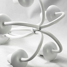 Подвесная люстра Lussole Lgo Anson LSP-9912 4