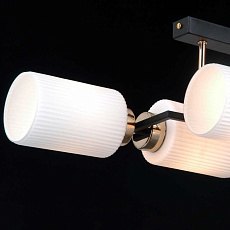 Потолочный светильник ILLUMICO IL0809-4ASQ-25 BK AB NAPLES 1