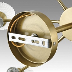 Потолочная люстра Lumion Classi Aurica 8046/6C 3