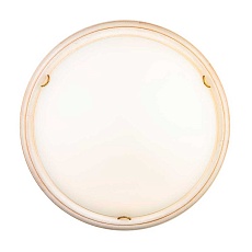 Настенно-потолочный светодиодный светильник Sonex Snok Provence 7605/DL 2