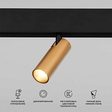 Трековый светодиодный светильник Elektrostandard (Умный дом) Slim Magnetic Dim Cubo 85070/01 латунь a063529