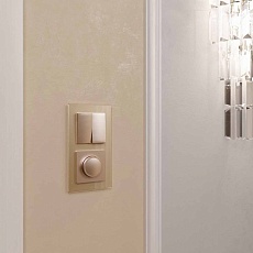 Диммер Werkel шампань W1142011 4690389157202 1