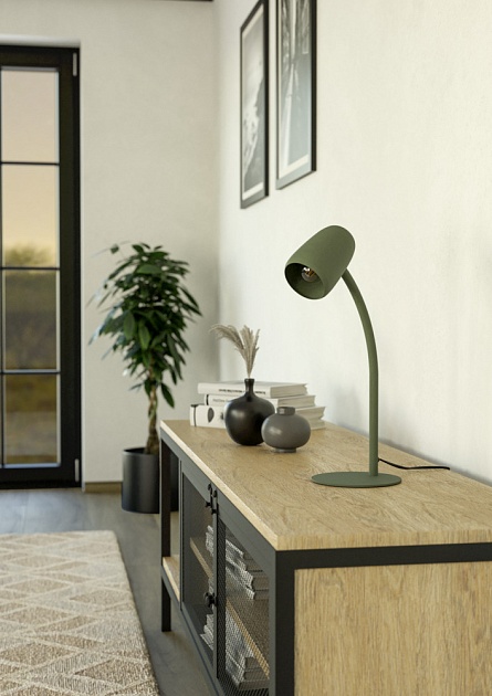 Настольная лампа Eglo Carlo 901831 Фото № 3