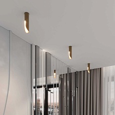 Потолочный светодиодный светильник Elektrostandard Apex 25113/LED a068291 1