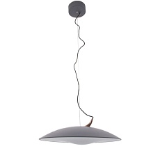 Подвесной светодиодный светильник Mizi'en Candor MZ46212G