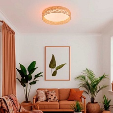 Потолочный светильник F-Promo 4749-4C 2