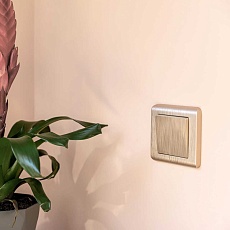 Выключатель одноклавишный Werkel шампань рифленый W1110010 4690389159992 1