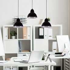 Подвесной светильник Apeyron 16-68 2