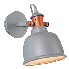 Спот Lucide Tjoll 37203/01/36