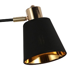 Спот Illumico IL6116-2COU-79 BK GD 2