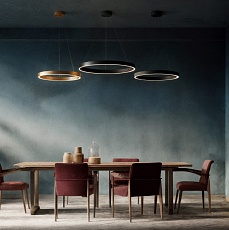 Подвесной светильник DENKIRS RAYDIA DK6272-BK 1