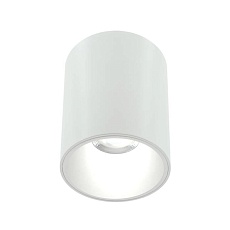Накладной светильник Lightera Shamrock LE201CL-1WB