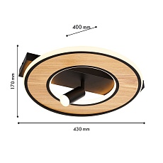 Потолочный светильник F-Promo Olika 4438-2C 3