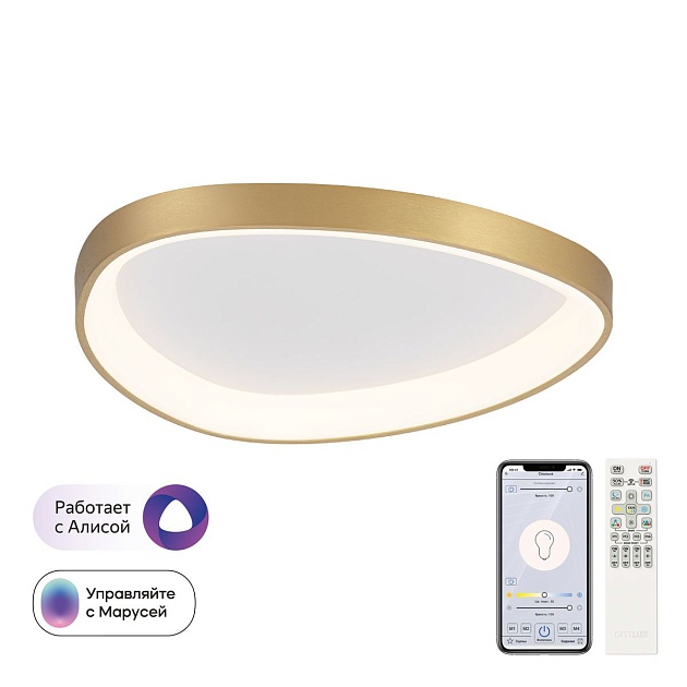 Потолочный светодиодный светильник Citilux Genka Smart CL756A142 Фото № 1
