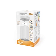 Подвесной светодиодный светильник Gauss HD039 2