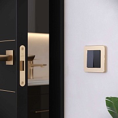 Рамка Werkel Platinum на 1 пост шампань W0012611 4690389184437 5