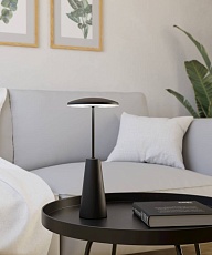 Уличный светодиодный светильник Eglo Piccola 900925 3