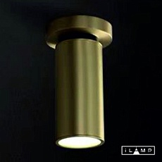 Спот iLamp Plum 8861C BR-BK