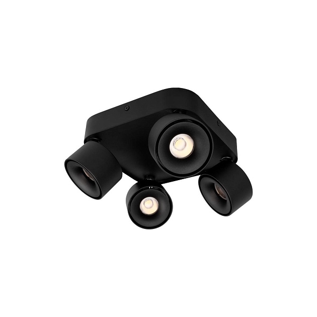 Спот Loft IT Case 10326 Black изображение 1 Спот Loft IT Case 10326 Black Фото № 1