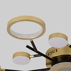 Потолочный светодиодный светильник F-Promo Hybrid 4686-13C 2