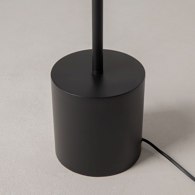 Торшер Maytoni Modern Evolution MOD396FL-L10W3K Фото № 3