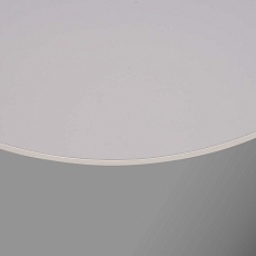 Потолочный светодиодный светильник F-Promo Arena 4685-8C 4