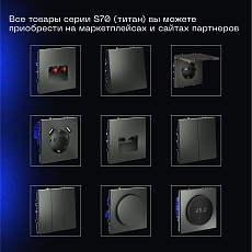 Выключатель встраиваемый Voltum S70 двухклавишный с подсветкой 10А, (титан) VLS020206 2