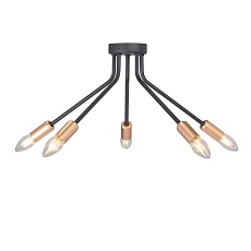 Потолочная люстра Vitaluce V3020-1/5PL 2